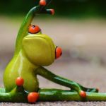 frog-770×400
